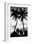 Palm Tree Silhouettes, Naples, Florida-null-Framed Art Print