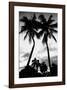 Palm Tree Silhouettes, Naples, Florida-null-Framed Art Print