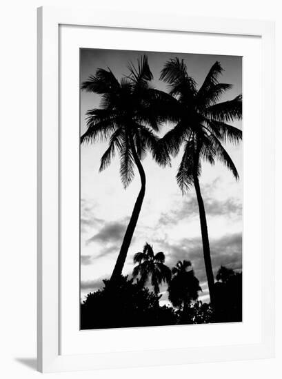 Palm Tree Silhouettes, Naples, Florida-null-Framed Art Print