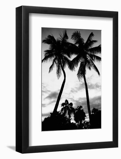 Palm Tree Silhouettes, Naples, Florida-null-Framed Art Print