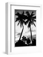 Palm Tree Silhouettes, Naples, Florida-null-Framed Art Print