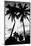 Palm Tree Silhouettes, Naples, Florida-null-Mounted Art Print