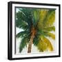 Palm Tree Sky-Tim O'toole-Framed Giclee Print