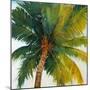 Palm Tree Sky-Tim O'toole-Mounted Giclee Print
