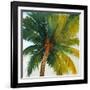 Palm Tree Sky-Tim O'toole-Framed Giclee Print
