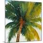 Palm Tree Sky-Tim O'toole-Mounted Giclee Print