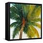 Palm Tree Sky-Tim O'toole-Framed Stretched Canvas