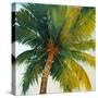 Palm Tree Sky-Tim O'toole-Stretched Canvas