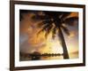 Palm Tree, Sofitel La Ora Resort, Moorea, French Polynesia-Walter Bibikow-Framed Photographic Print