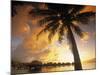 Palm Tree, Sofitel La Ora Resort, Moorea, French Polynesia-Walter Bibikow-Mounted Photographic Print