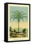 Palm Tree - South American Attalea Maripa - Vintage Botanical Illustration, 1854-Charles Antoine Lemaire-Framed Stretched Canvas