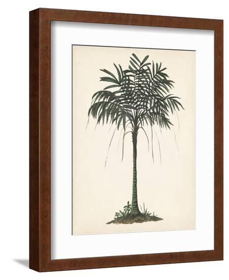 Palm Tree Study II-Melissa Wang-Framed Art Print