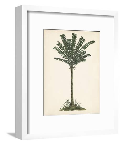 Palm Tree Study IV-Melissa Wang-Framed Art Print