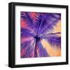 Palm Tree Sunset-null-Framed Art Print