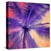 Palm Tree Sunset-null-Stretched Canvas