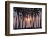 Palm Tree Sunset-Rob Tilley-Framed Photographic Print
