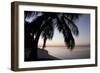 Palm Tree Sunset-Brent Anderson-Framed Photographic Print