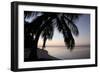 Palm Tree Sunset-Brent Anderson-Framed Photographic Print