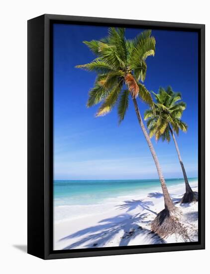 Palm Tree, White Sand Beach and Indian Ocean, Jambiani, Island of Zanzibar, Tanzania, East Africa-Lee Frost-Framed Stretched Canvas