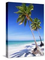Palm Tree, White Sand Beach and Indian Ocean, Jambiani, Island of Zanzibar, Tanzania, East Africa-Lee Frost-Stretched Canvas