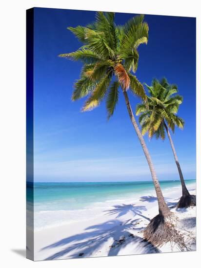 Palm Tree, White Sand Beach and Indian Ocean, Jambiani, Island of Zanzibar, Tanzania, East Africa-Lee Frost-Stretched Canvas