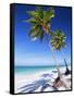 Palm Tree, White Sand Beach and Indian Ocean, Jambiani, Island of Zanzibar, Tanzania, East Africa-Lee Frost-Framed Stretched Canvas