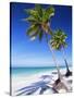 Palm Tree, White Sand Beach and Indian Ocean, Jambiani, Island of Zanzibar, Tanzania, East Africa-Lee Frost-Stretched Canvas
