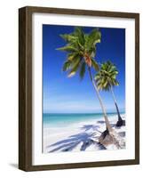 Palm Tree, White Sand Beach and Indian Ocean, Jambiani, Island of Zanzibar, Tanzania, East Africa-Lee Frost-Framed Photographic Print