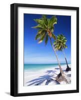 Palm Tree, White Sand Beach and Indian Ocean, Jambiani, Island of Zanzibar, Tanzania, East Africa-Lee Frost-Framed Photographic Print