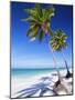 Palm Tree, White Sand Beach and Indian Ocean, Jambiani, Island of Zanzibar, Tanzania, East Africa-Lee Frost-Mounted Photographic Print