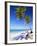 Palm Tree, White Sand Beach and Indian Ocean, Jambiani, Island of Zanzibar, Tanzania, East Africa-Lee Frost-Framed Photographic Print
