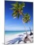 Palm Tree, White Sand Beach and Indian Ocean, Jambiani, Island of Zanzibar, Tanzania, East Africa-Lee Frost-Mounted Photographic Print