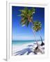 Palm Tree, White Sand Beach and Indian Ocean, Jambiani, Island of Zanzibar, Tanzania, East Africa-Lee Frost-Framed Photographic Print