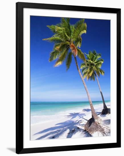 Palm Tree, White Sand Beach and Indian Ocean, Jambiani, Island of Zanzibar, Tanzania, East Africa-Lee Frost-Framed Photographic Print