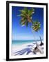 Palm Tree, White Sand Beach and Indian Ocean, Jambiani, Island of Zanzibar, Tanzania, East Africa-Lee Frost-Framed Photographic Print