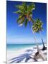 Palm Tree, White Sand Beach and Indian Ocean, Jambiani, Island of Zanzibar, Tanzania, East Africa-Lee Frost-Mounted Photographic Print