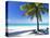 Palm Tree, White Sandy Beach and Indian Ocean, Jambiani, Island of Zanzibar, Tanzania, East Africa-Lee Frost-Stretched Canvas