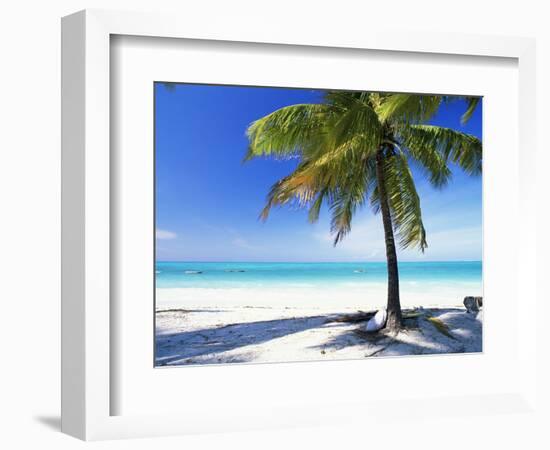 Palm Tree, White Sandy Beach and Indian Ocean, Jambiani, Island of Zanzibar, Tanzania, East Africa-Lee Frost-Framed Photographic Print