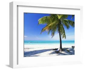 Palm Tree, White Sandy Beach and Indian Ocean, Jambiani, Island of Zanzibar, Tanzania, East Africa-Lee Frost-Framed Photographic Print