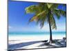 Palm Tree, White Sandy Beach and Indian Ocean, Jambiani, Island of Zanzibar, Tanzania, East Africa-Lee Frost-Mounted Photographic Print