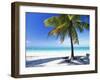 Palm Tree, White Sandy Beach and Indian Ocean, Jambiani, Island of Zanzibar, Tanzania, East Africa-Lee Frost-Framed Photographic Print