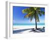 Palm Tree, White Sandy Beach and Indian Ocean, Jambiani, Island of Zanzibar, Tanzania, East Africa-Lee Frost-Framed Photographic Print