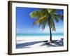 Palm Tree, White Sandy Beach and Indian Ocean, Jambiani, Island of Zanzibar, Tanzania, East Africa-Lee Frost-Framed Photographic Print