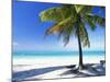 Palm Tree, White Sandy Beach and Indian Ocean, Jambiani, Island of Zanzibar, Tanzania, East Africa-Lee Frost-Mounted Photographic Print