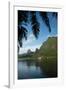 Palm Tree with Boat in the Background, Moorea, Tahiti, French Polynesia-null-Framed Photographic Print