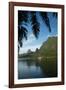 Palm Tree with Boat in the Background, Moorea, Tahiti, French Polynesia-null-Framed Photographic Print