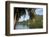 Palm Tree with Boat in the Background, Moorea, Tahiti, French Polynesia-null-Framed Photographic Print