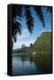 Palm Tree with Boat in the Background, Moorea, Tahiti, French Polynesia-null-Framed Stretched Canvas