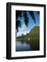 Palm Tree with Boat in the Background, Moorea, Tahiti, French Polynesia-null-Framed Photographic Print