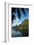 Palm Tree with Boat in the Background, Moorea, Tahiti, French Polynesia-null-Framed Photographic Print